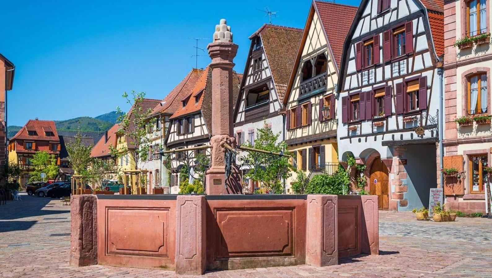 Duplex Des Vins: Medieval Village Retreat In Alsace Apartment Bergheim