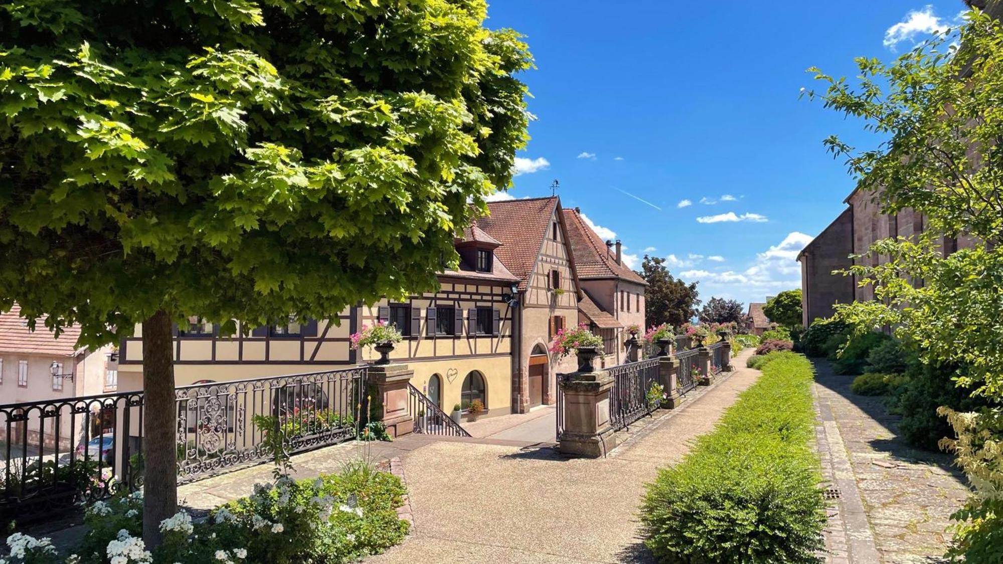 Apartment Duplex Des Vins: Medieval Village Retreat In Alsace *