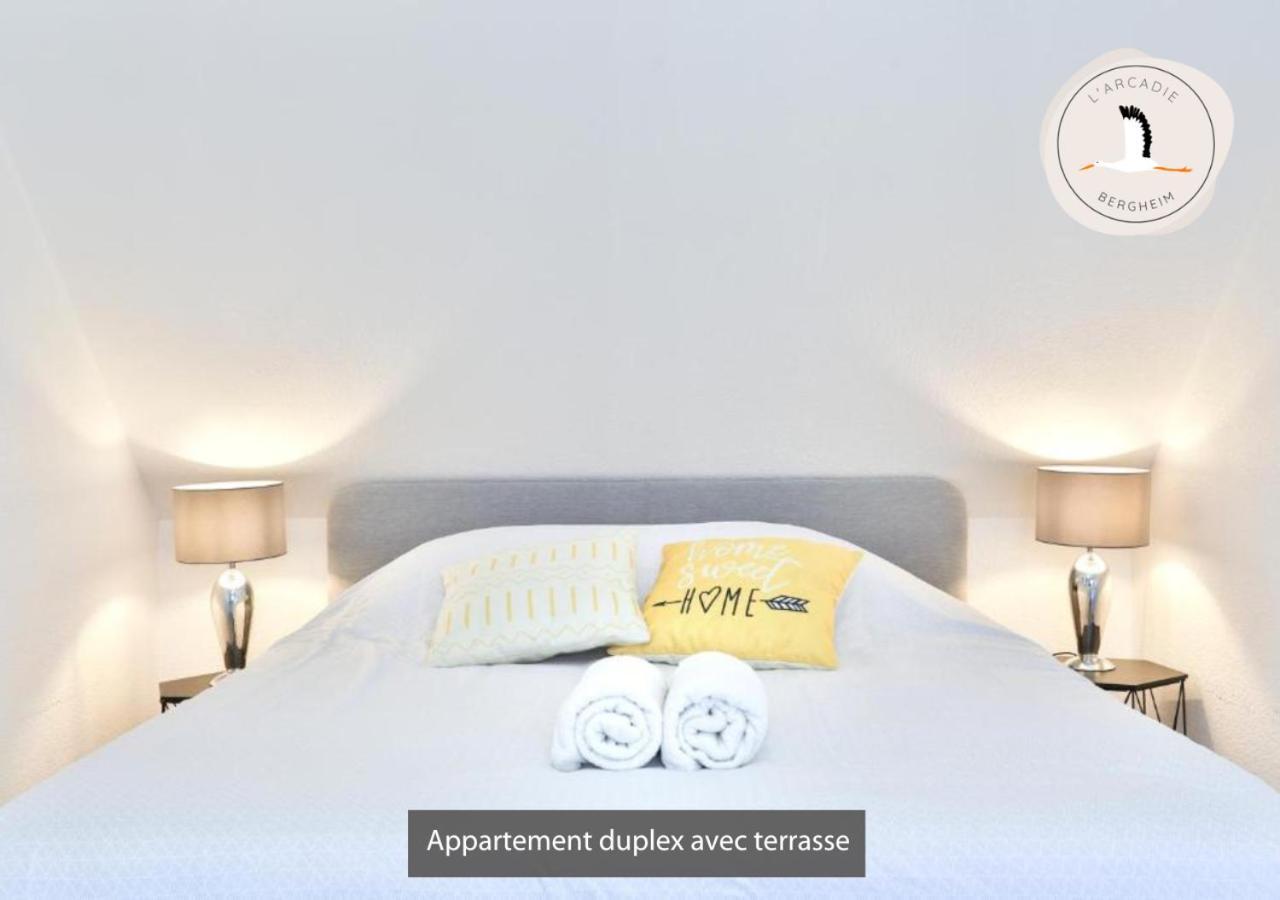 Duplex Des Vins: Medieval Village Retreat In Alsace Bergheim