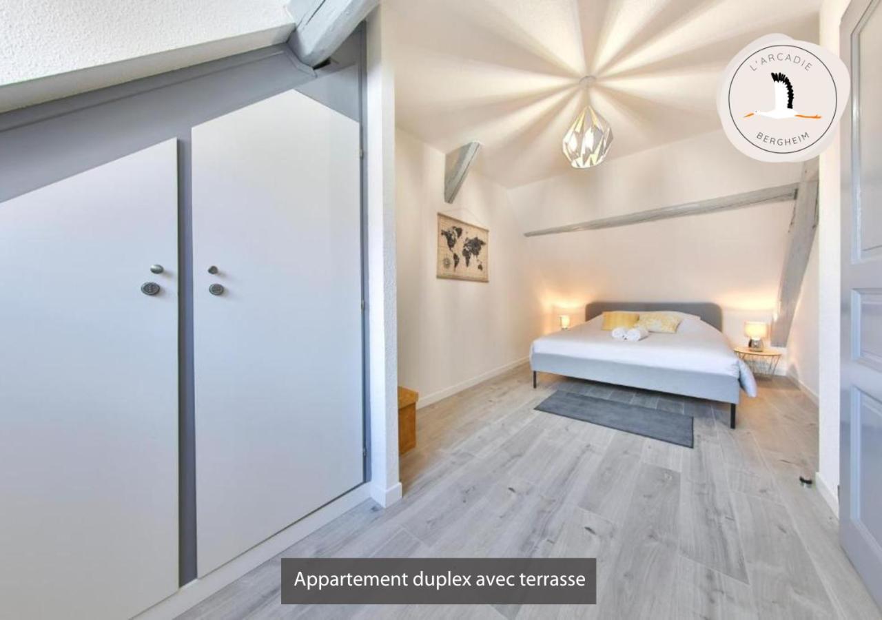 Duplex Des Vins: Medieval Village Retreat In Alsace Apartment *